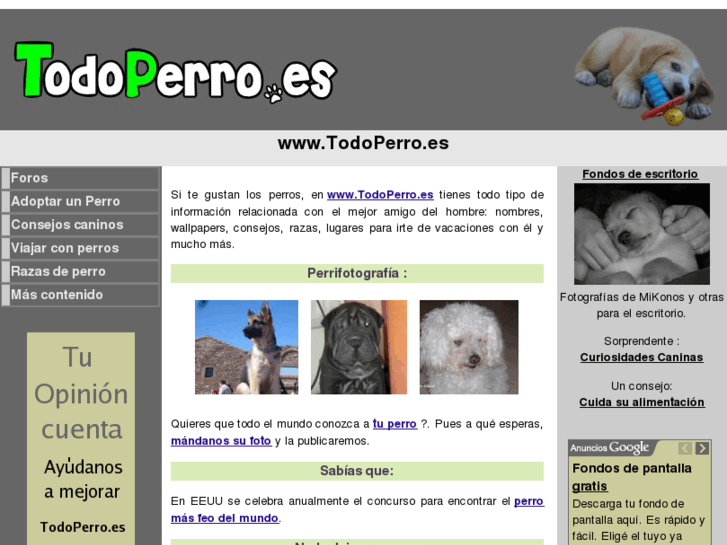 www.todoperro.es