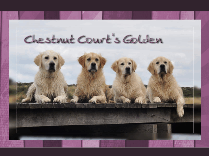 www.chestnutcourtsgolden.de