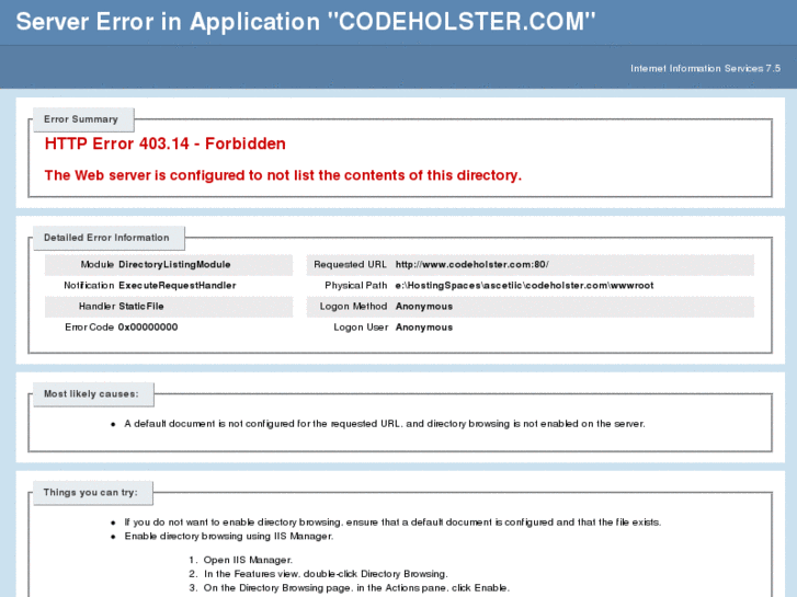 www.codeholster.com