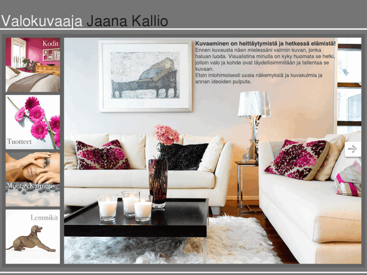 www.jaanakallio.com