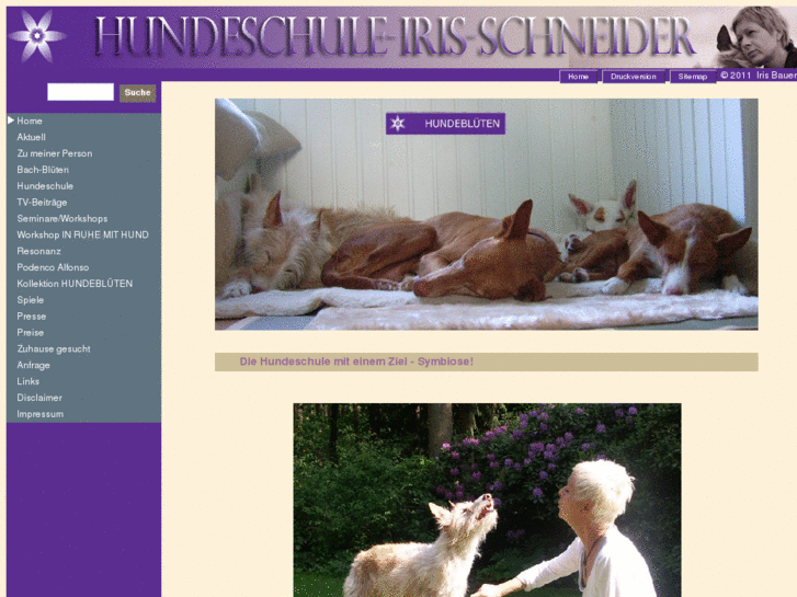 www.xn--hundeblten-geb.com