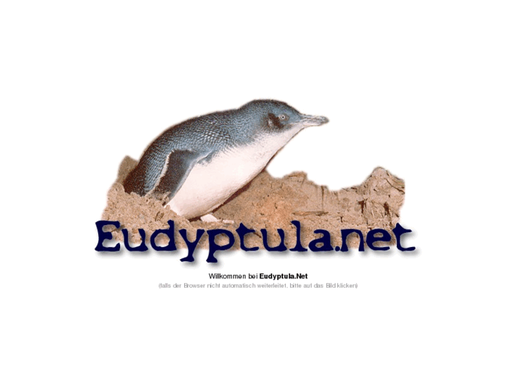 www.eudyptula.net