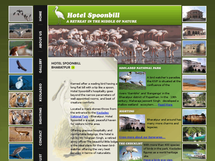 www.hotelspoonbill.com