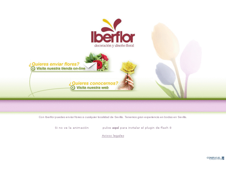 www.iberflor.es