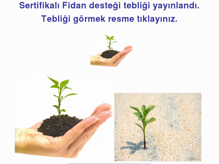 www.sertifikalifidan.com