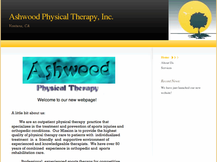 www.ashwoodphysicaltherapy.com