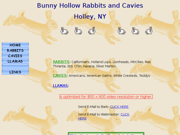 www.bunnyhollow.net