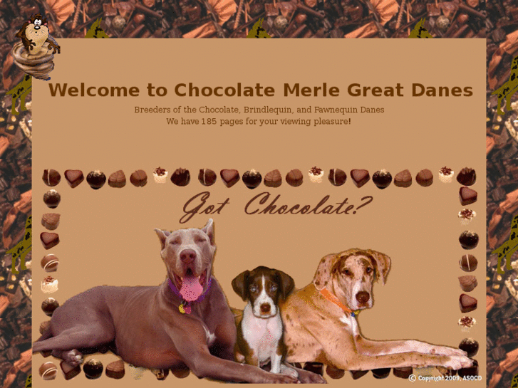 www.chocolatemerlegreatdanes.com