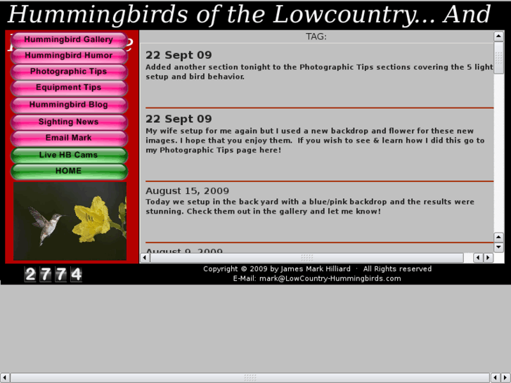 www.lowcountry-hummingbirds.com
