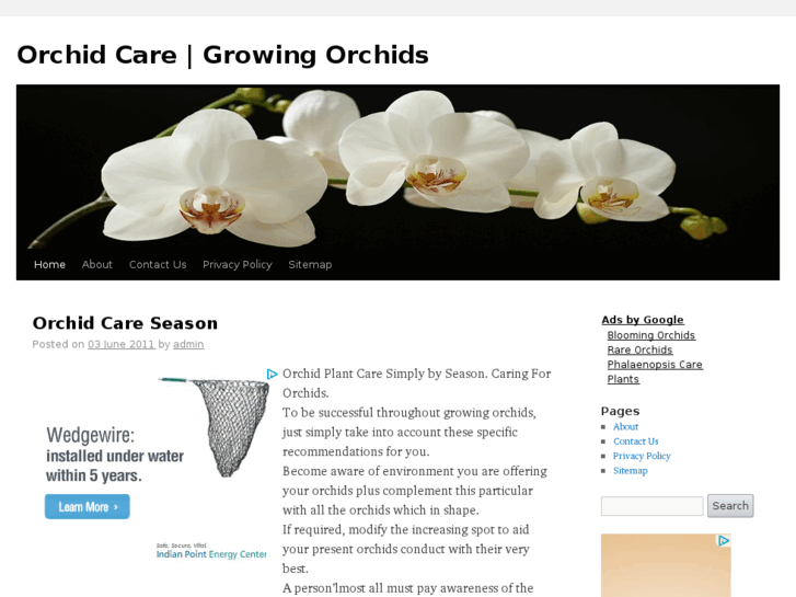 www.orchidsnet.com