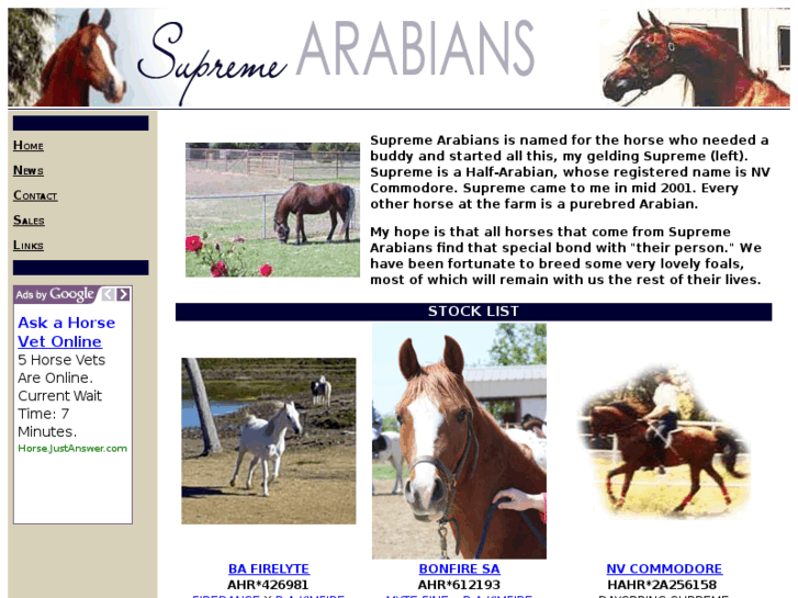 www.supremearabians.com