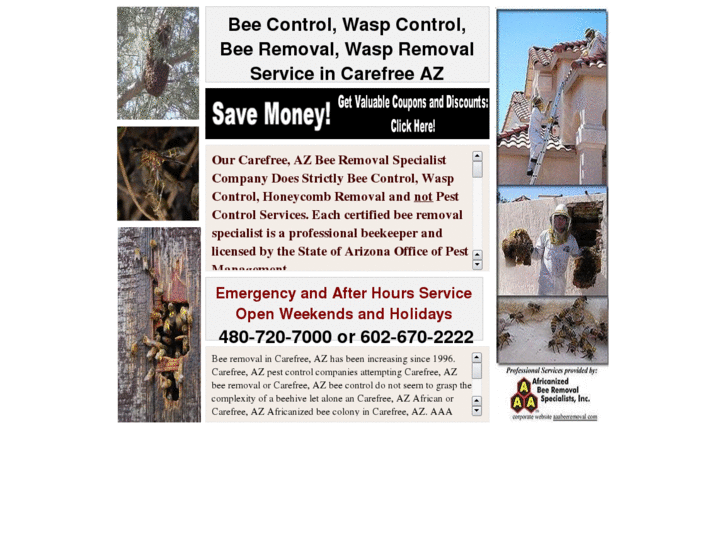 www.beecontrolcarefreeaz.com