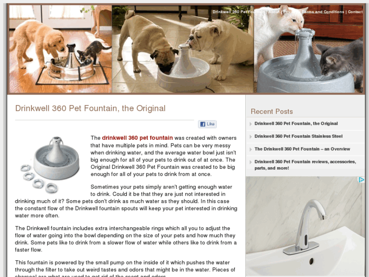 www.drinkwell360petfountain.com