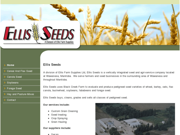 www.ellisseeds.com