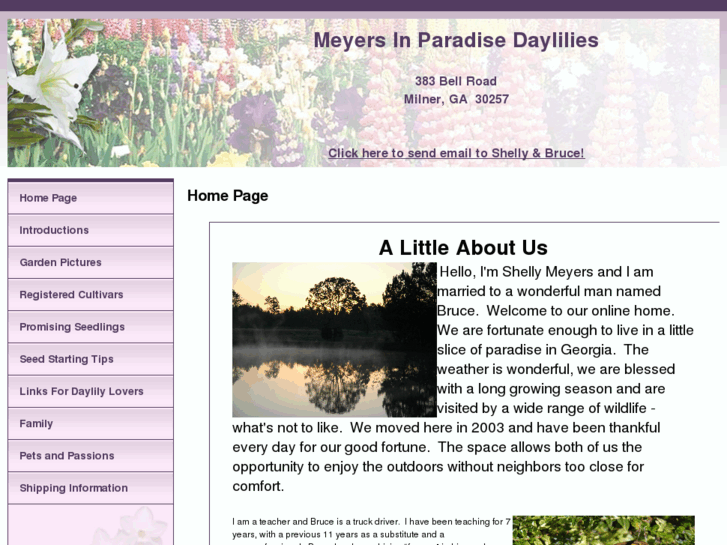 www.meyersinparadise.net