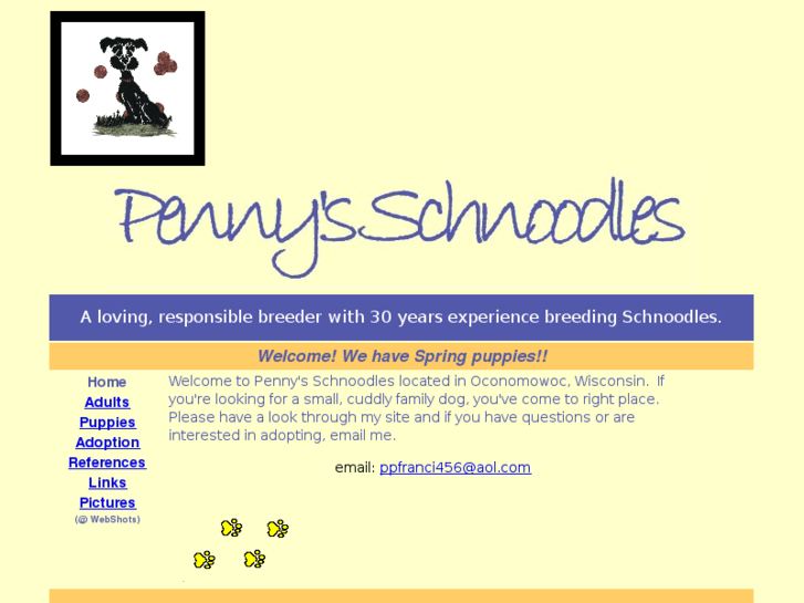 www.pennysschnoodles.com