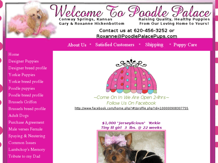 www.poodlepalacepups.com