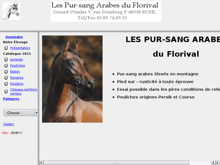 www.psarabe-florival.com