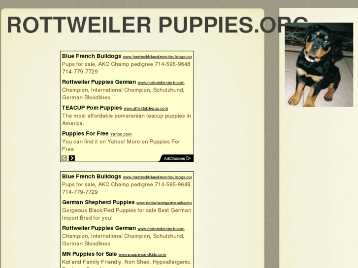 www.rottweilerpuppies.org