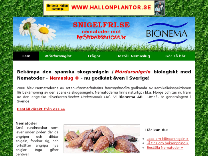 www.snigelfri.se