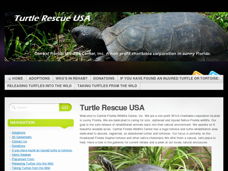 www.turtlerescueusa.com