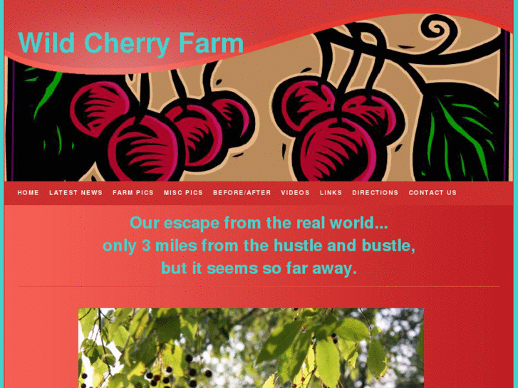 www.wildcherryfarm.com