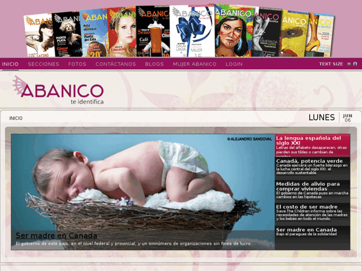 www.abanicoonline.com