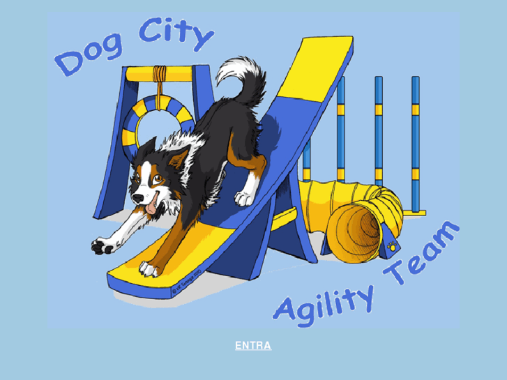 www.agilitydogcity.com