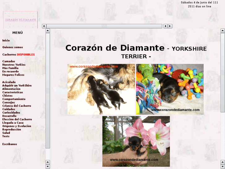 www.corazondediamante.com