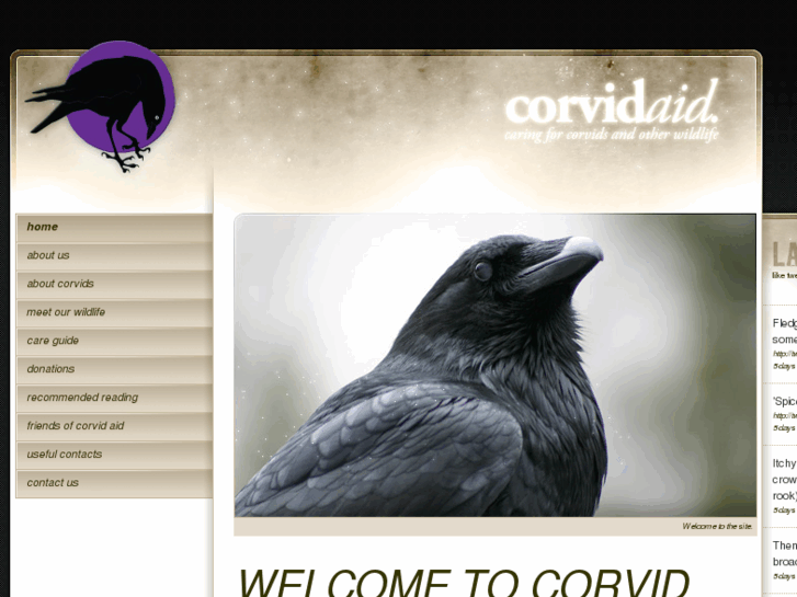 www.corvidaid.org