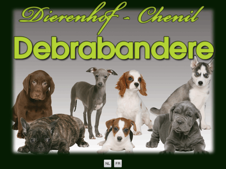 www.dierenhofdebrabandere.com