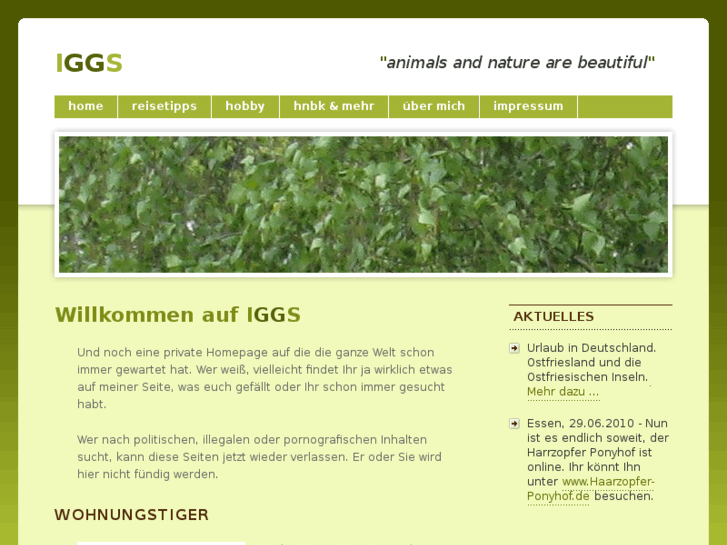 www.iggs.de