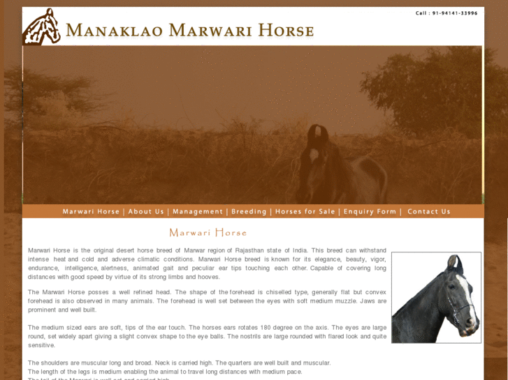 www.manaklaomarwarihorse.com