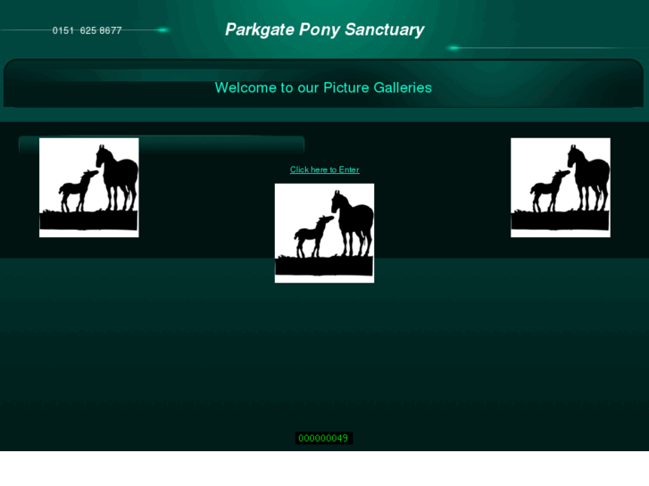 www.parkgateponies.com