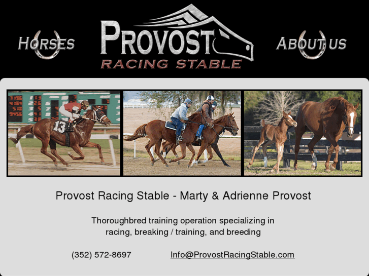 www.provostracingstable.com