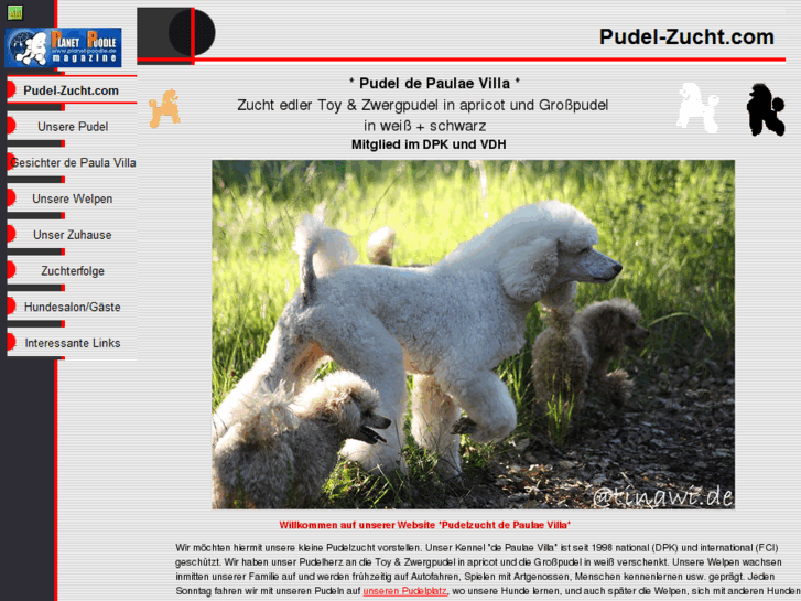 www.pudel-zucht.com