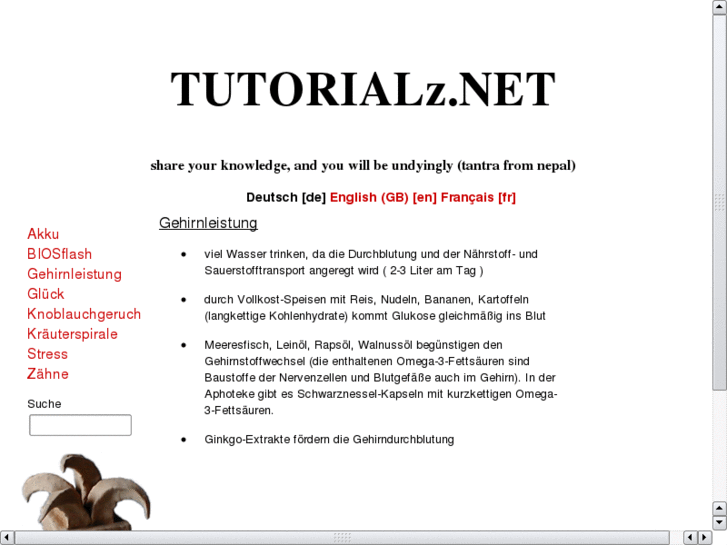 www.tutorialz.net