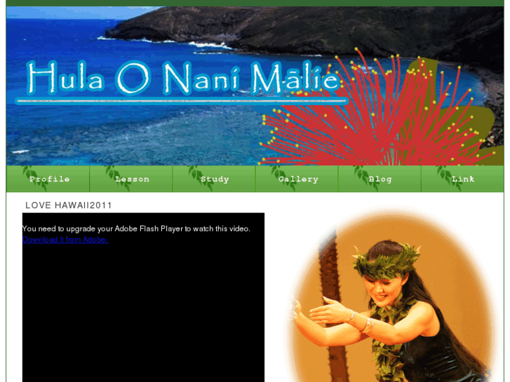 www.hulaonanimalie.com