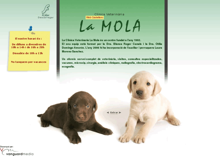 www.lamolaveterinaria.com