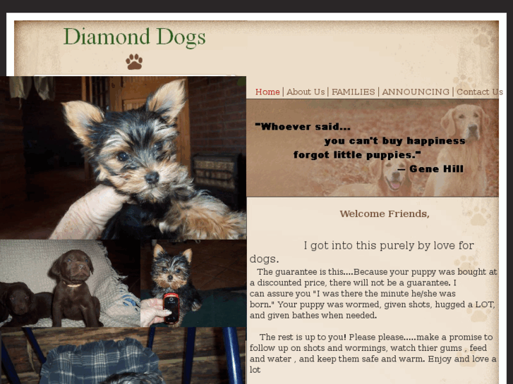 www.mydiamonddogs.com