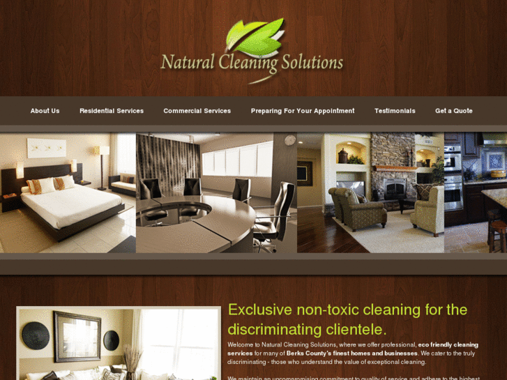 www.naturalcleaningsolutions.org