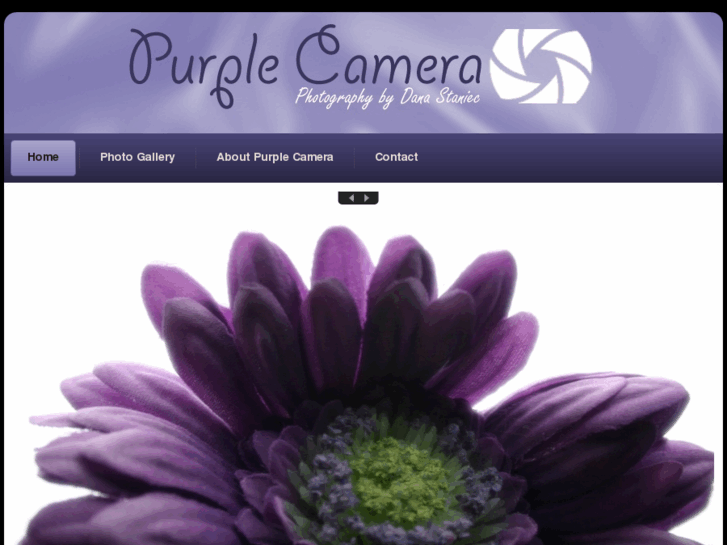 www.purplecamera.com