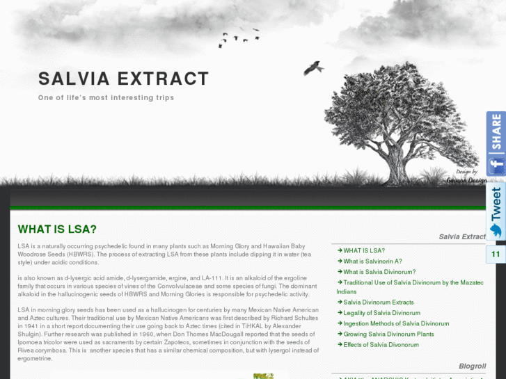 www.salviaextract.info