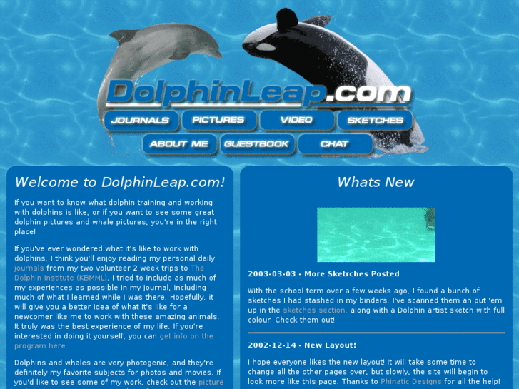 www.dolphinleap.com