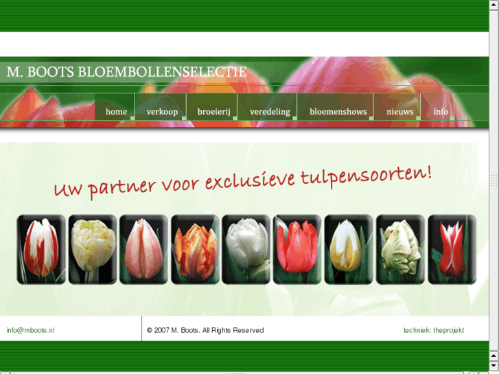 www.exclusivetulips.com