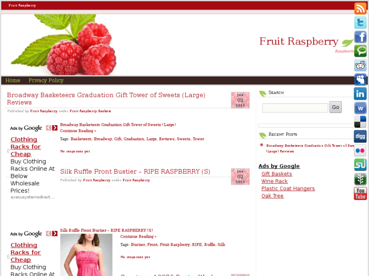 www.fruitraspberry.com