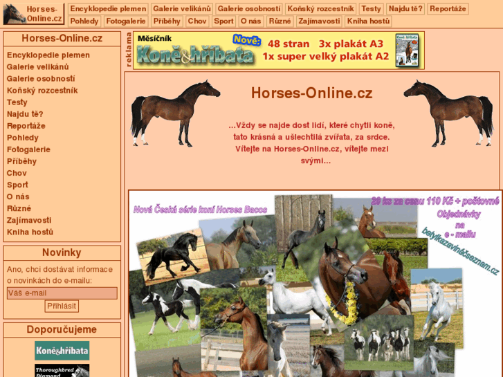 www.horses-online.cz