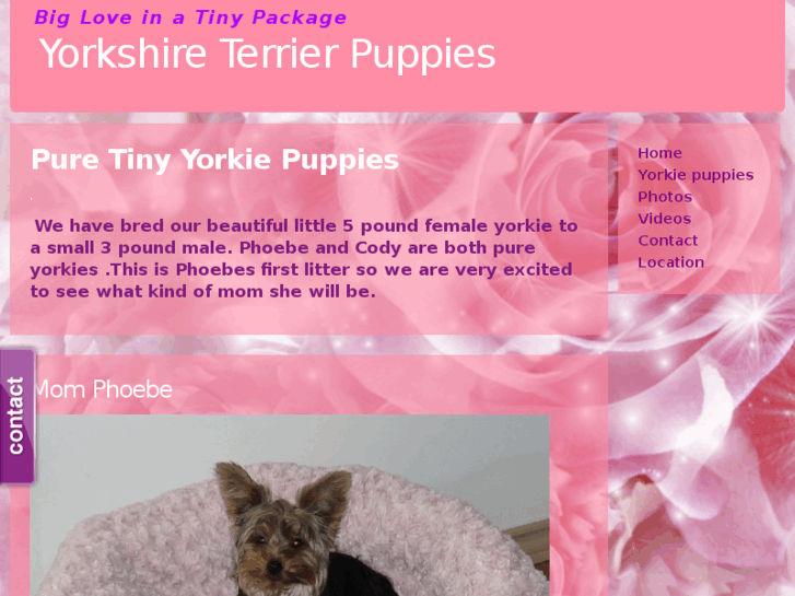 www.itsybitsypups.com