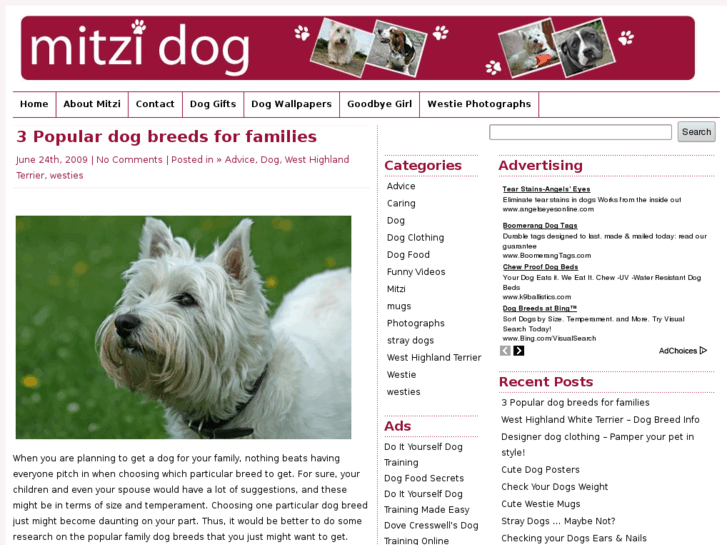 www.mitzidog.co.uk