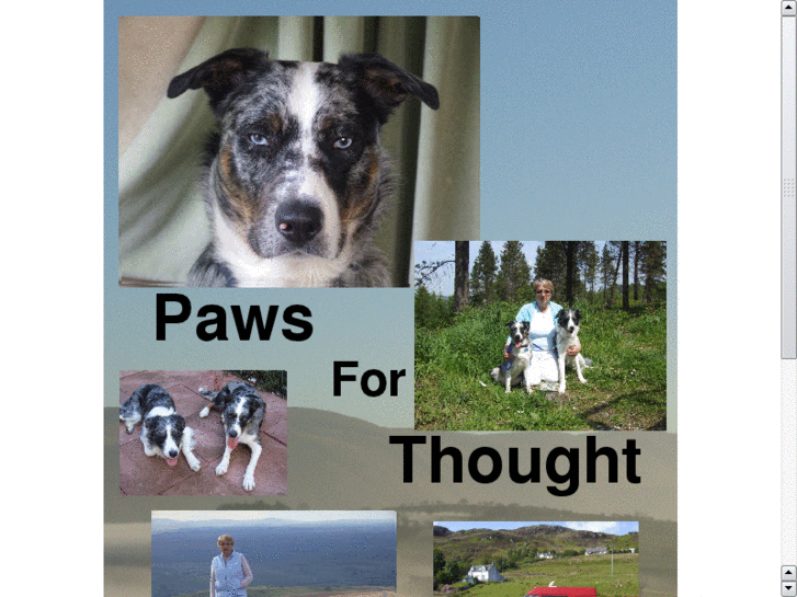 www.pawsforthought.org
